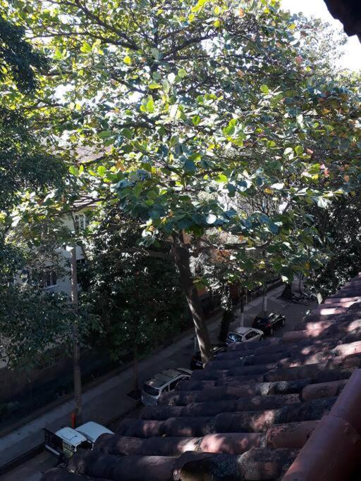 Vaga Em Hostel No Leblon Rio de Janeiro Exteriér fotografie